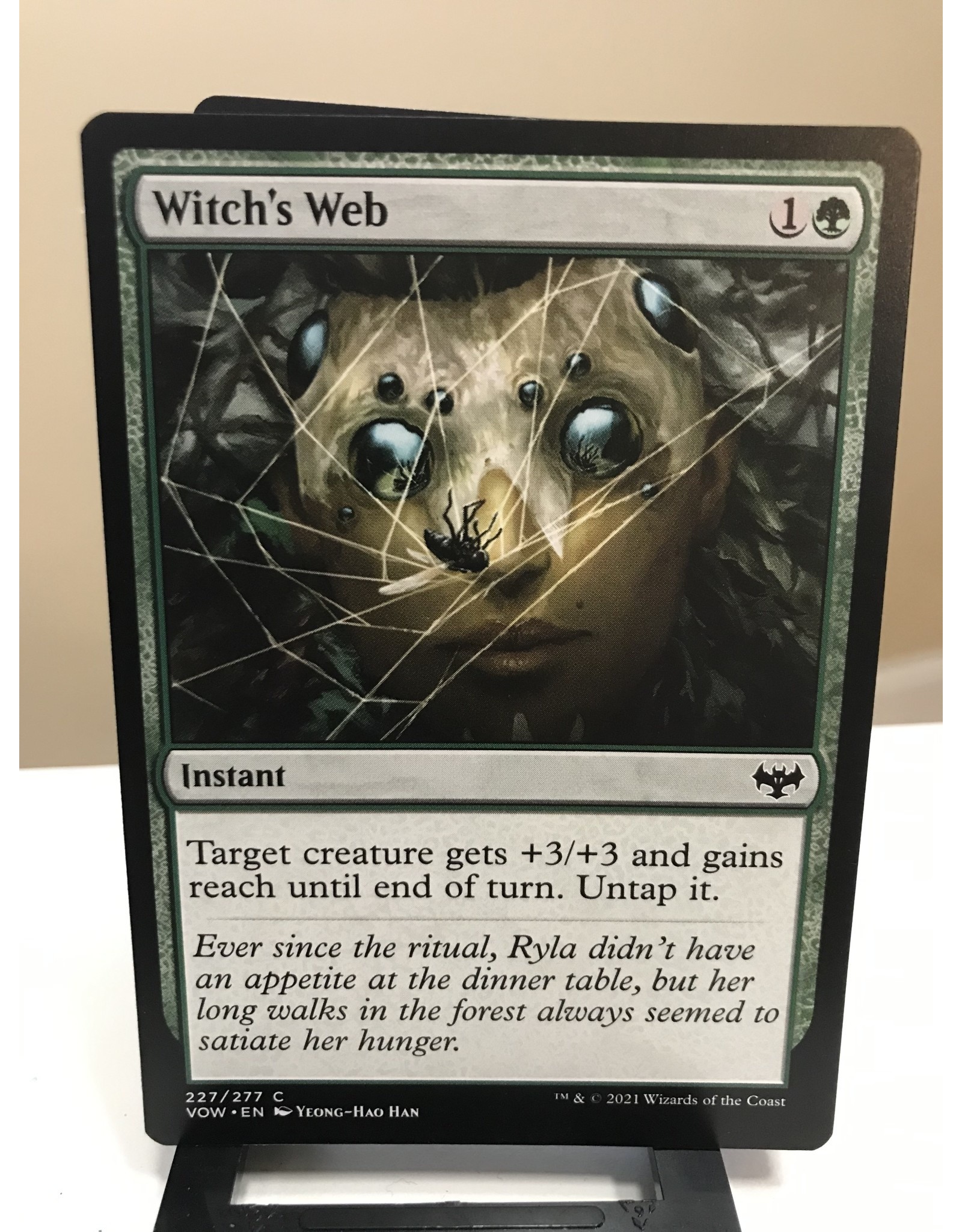 Magic Witch's Web  (VOW)