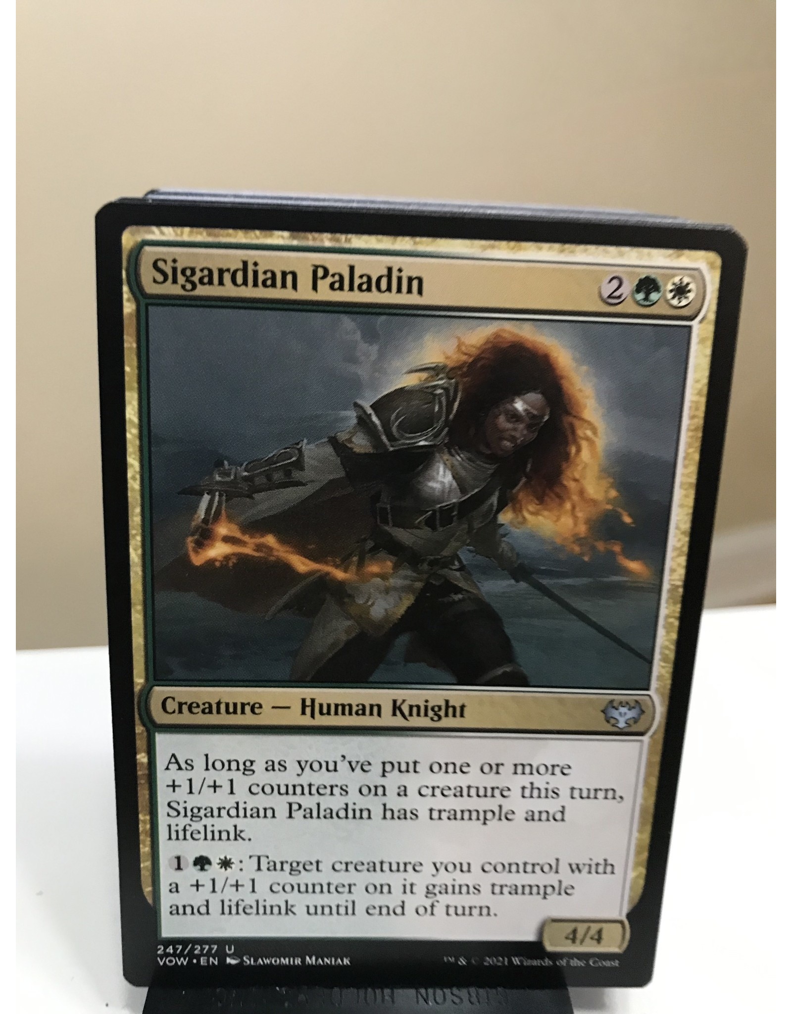 Magic Sigardian Paladin  (VOW)