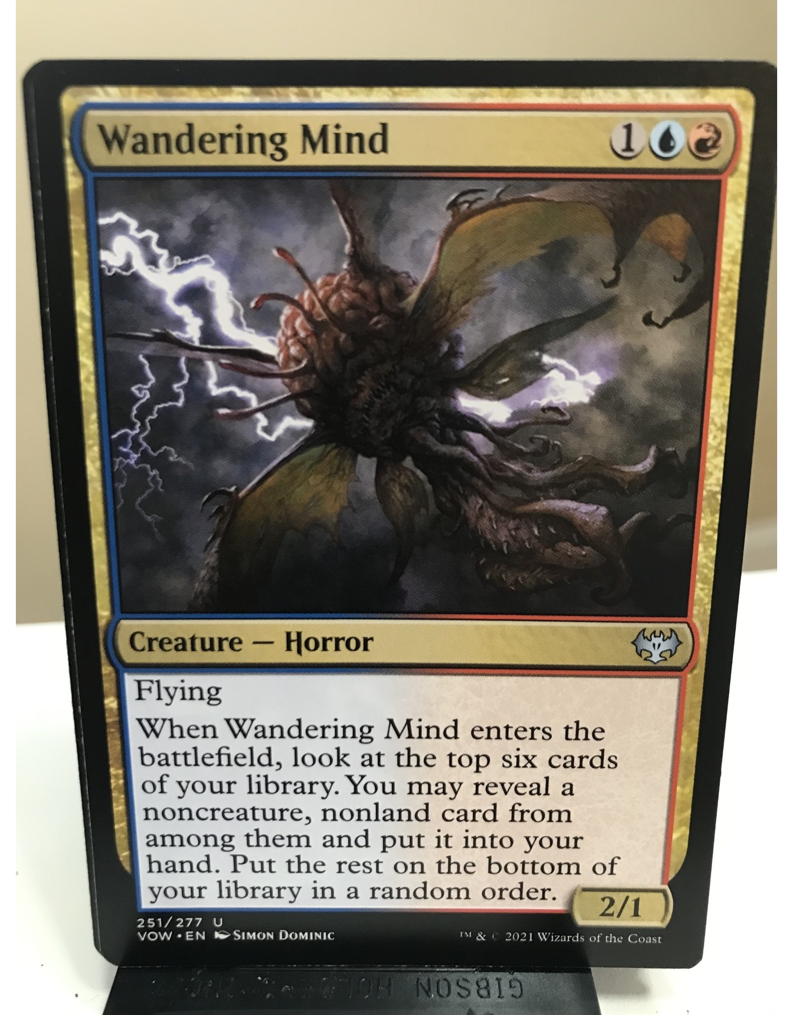 Magic Wandering Mind  (VOW)
