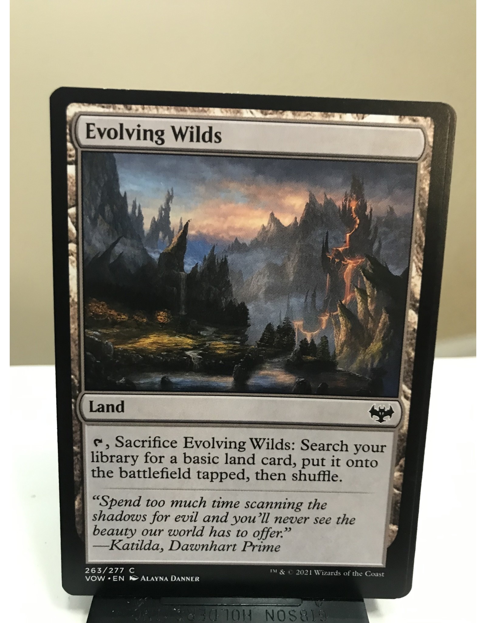 Magic Evolving Wilds  (VOW)