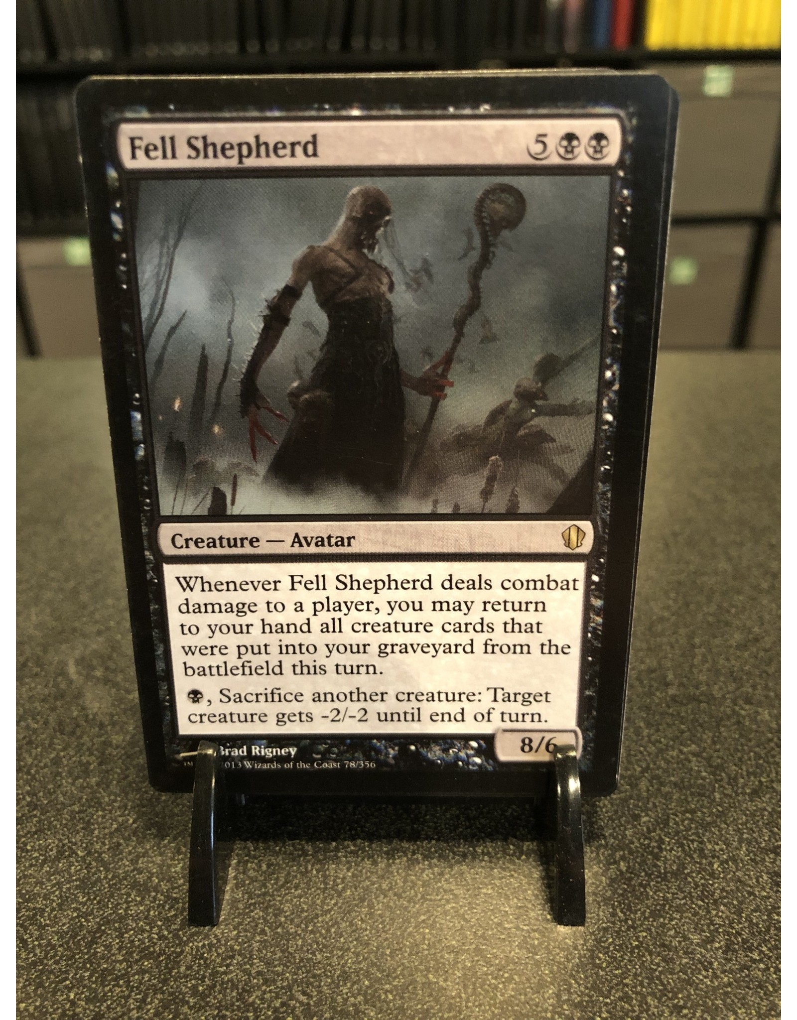 Magic Fell Shepherd  (C13)