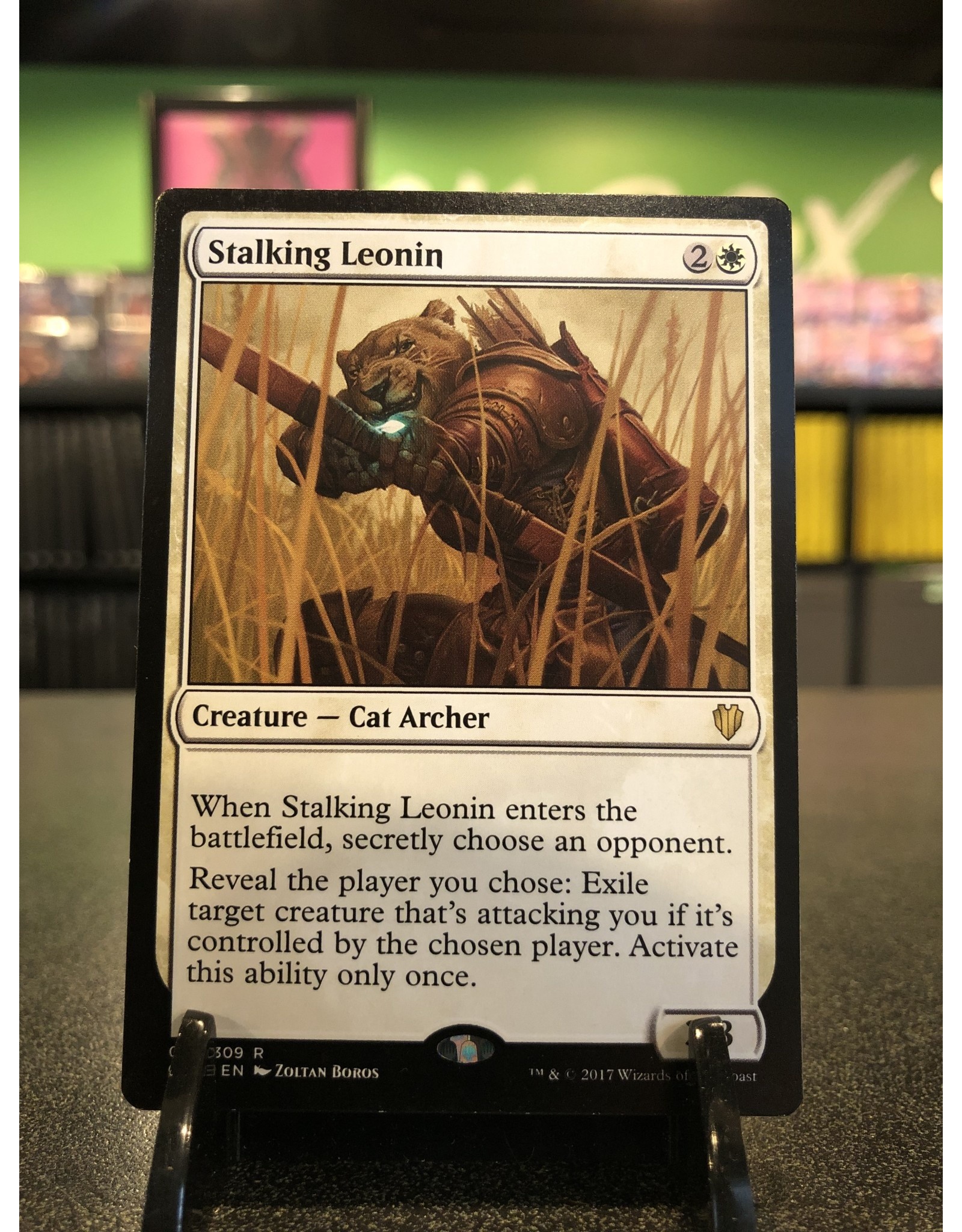 Magic Stalking Leonin  (C17)