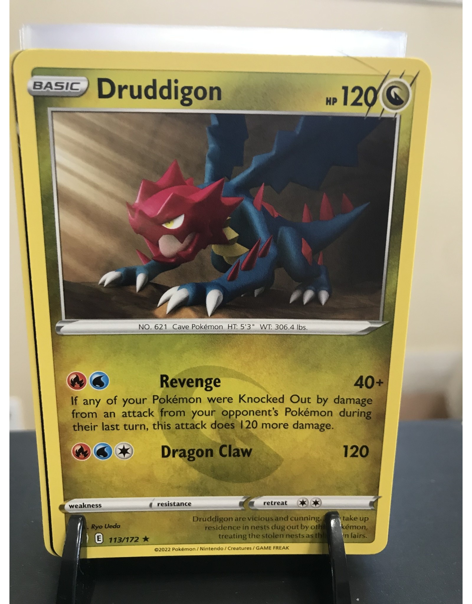 Pokemon Druddigon  113/172