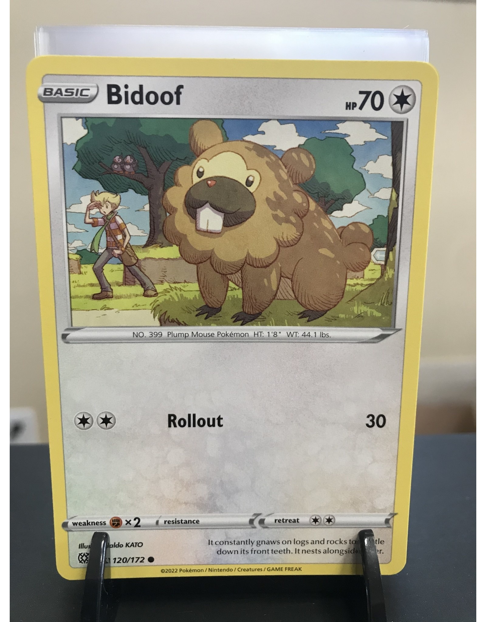 Pokemon Bidoof  120/172