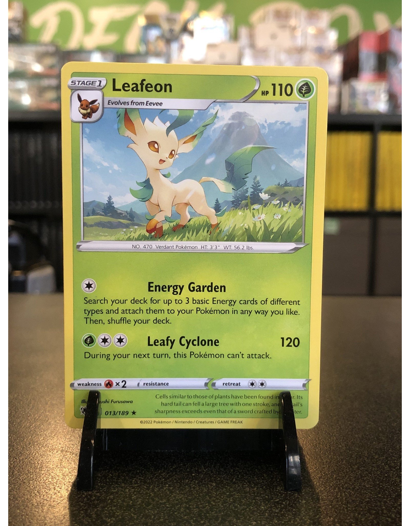 Pokemon Leafeon  013/189
