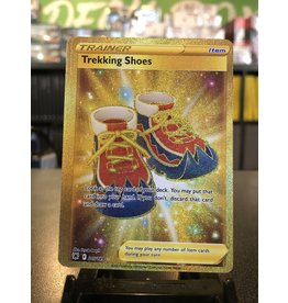 Pokemon Trekking Shoes 215/189