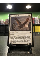 Magic Scouting Hawk  (CLB)