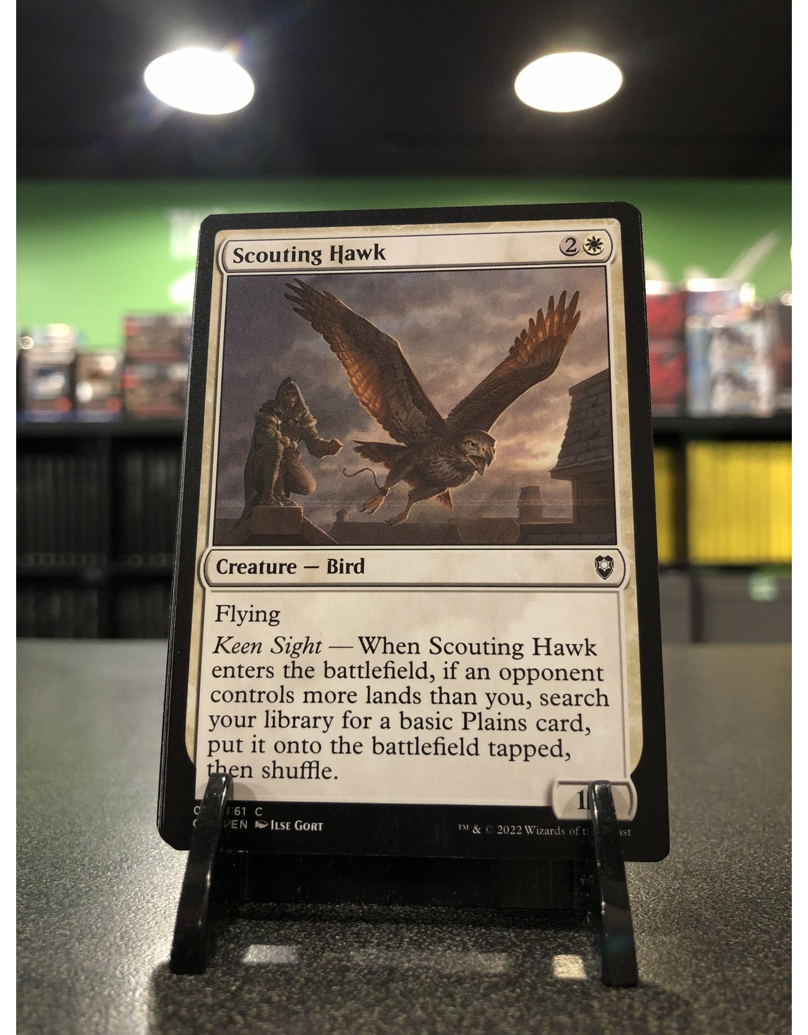 Magic Scouting Hawk  (CLB)