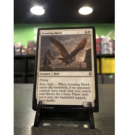 Magic Scouting Hawk  (CLB)