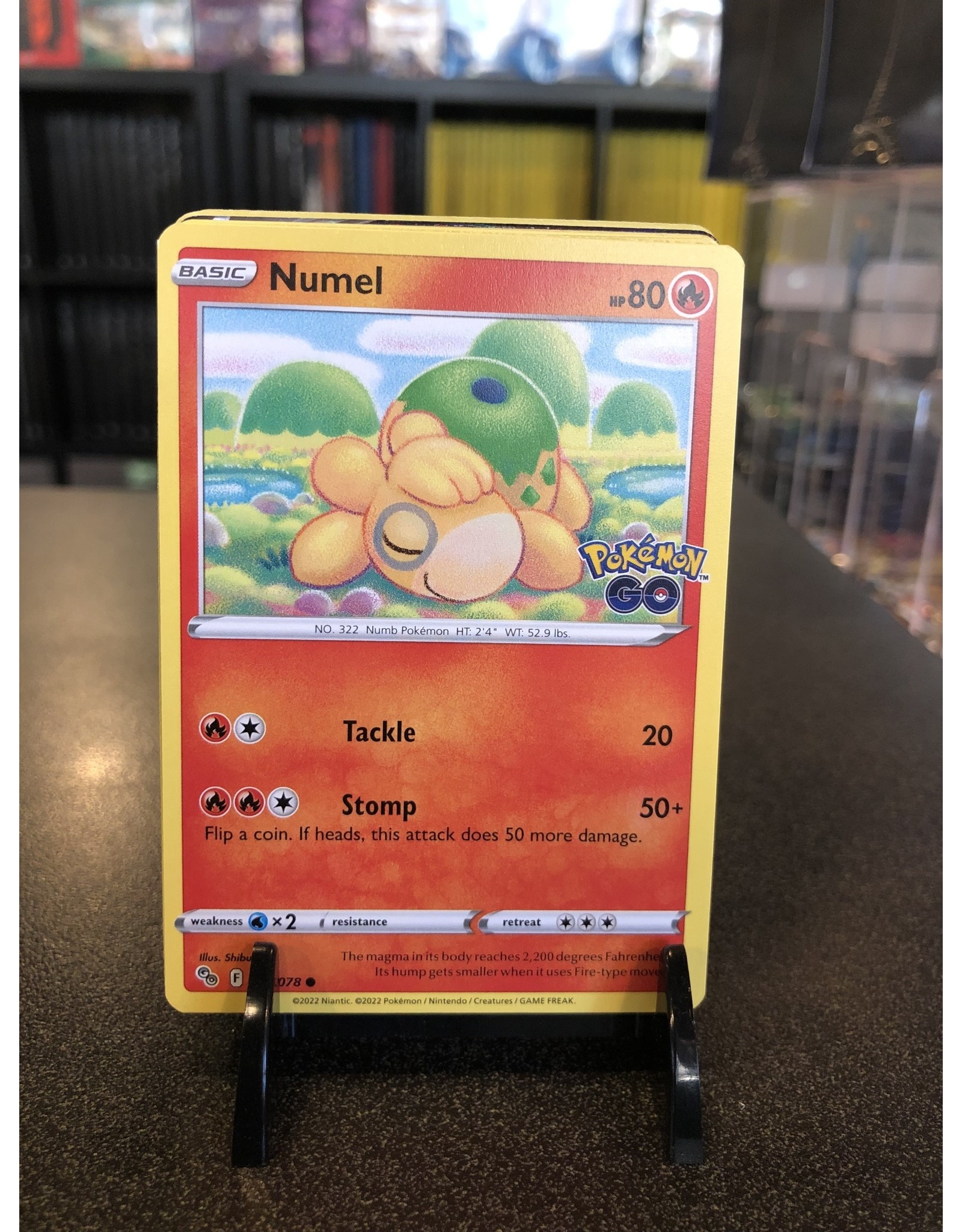 Pokemon Numel  013/078