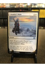 Calamity's Wake  (BRO)