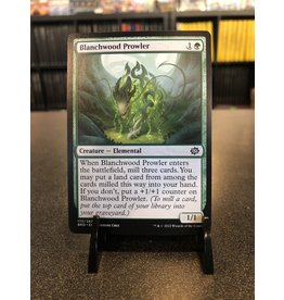 Blanchwood Prowler  (BRO)