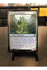 Blanchwood Prowler  (BRO)