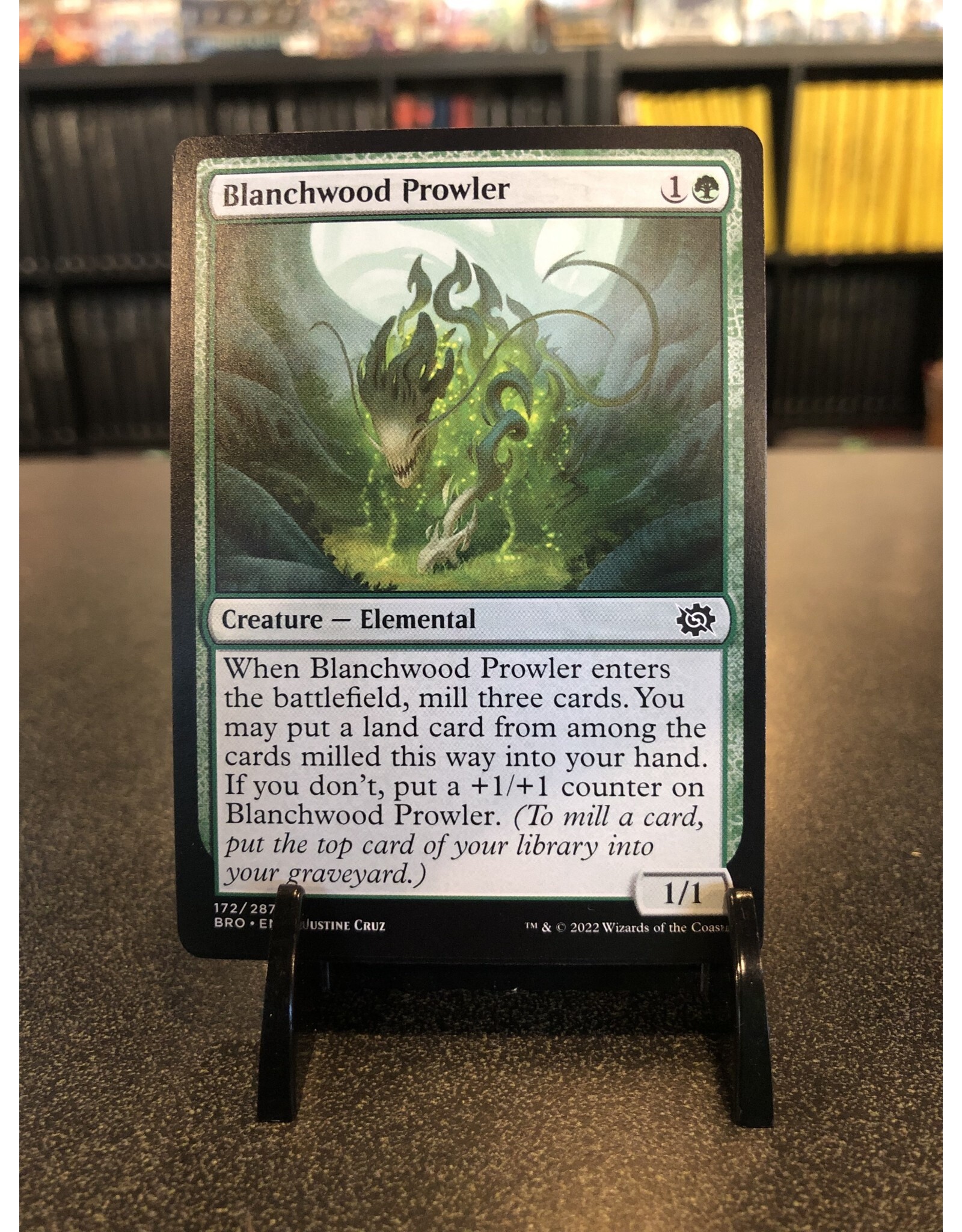 Blanchwood Prowler  (BRO)