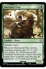 Motivated Pony  (LTC)