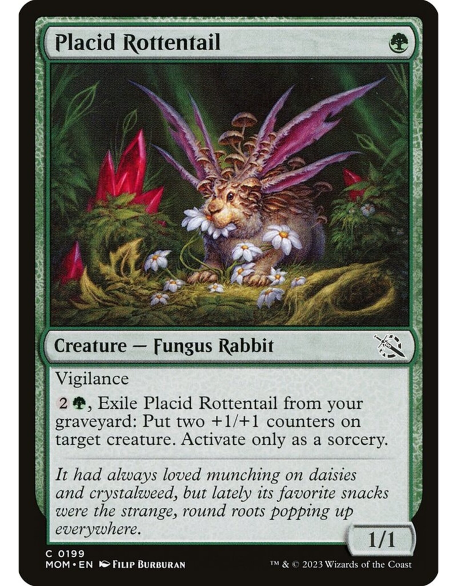 Placid Rottentail  (MOM)