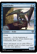 Magic Loyal Drake  (CMM)