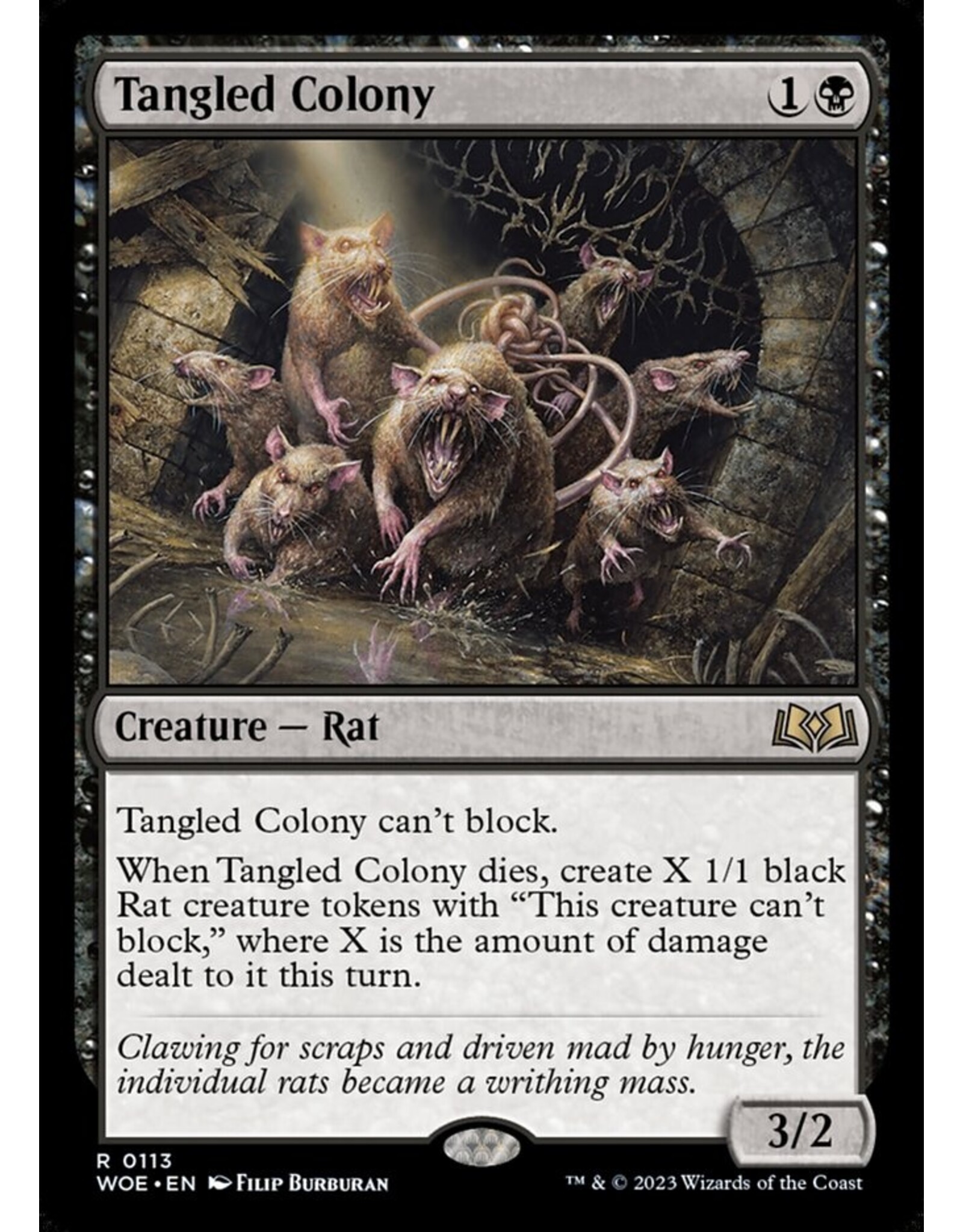 Magic Tangled Colony  (WOE)