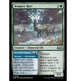 Magic Tempest Hart // Scan the Clouds  (WOE)