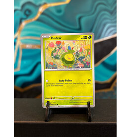 Budew  004/131