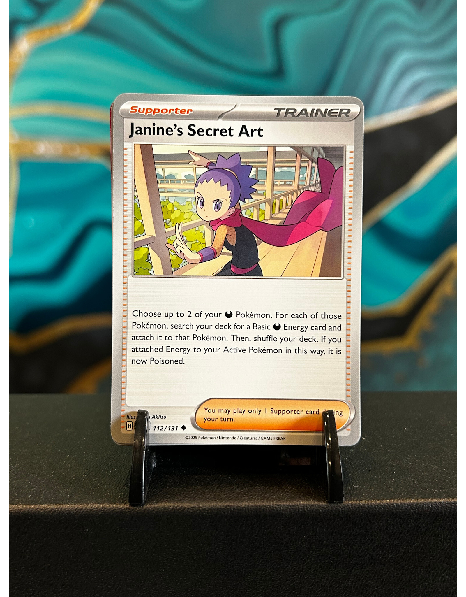 Janine's Secret Art  112/131