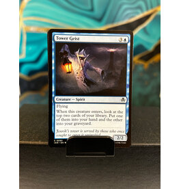 Tower Geist  (INR)