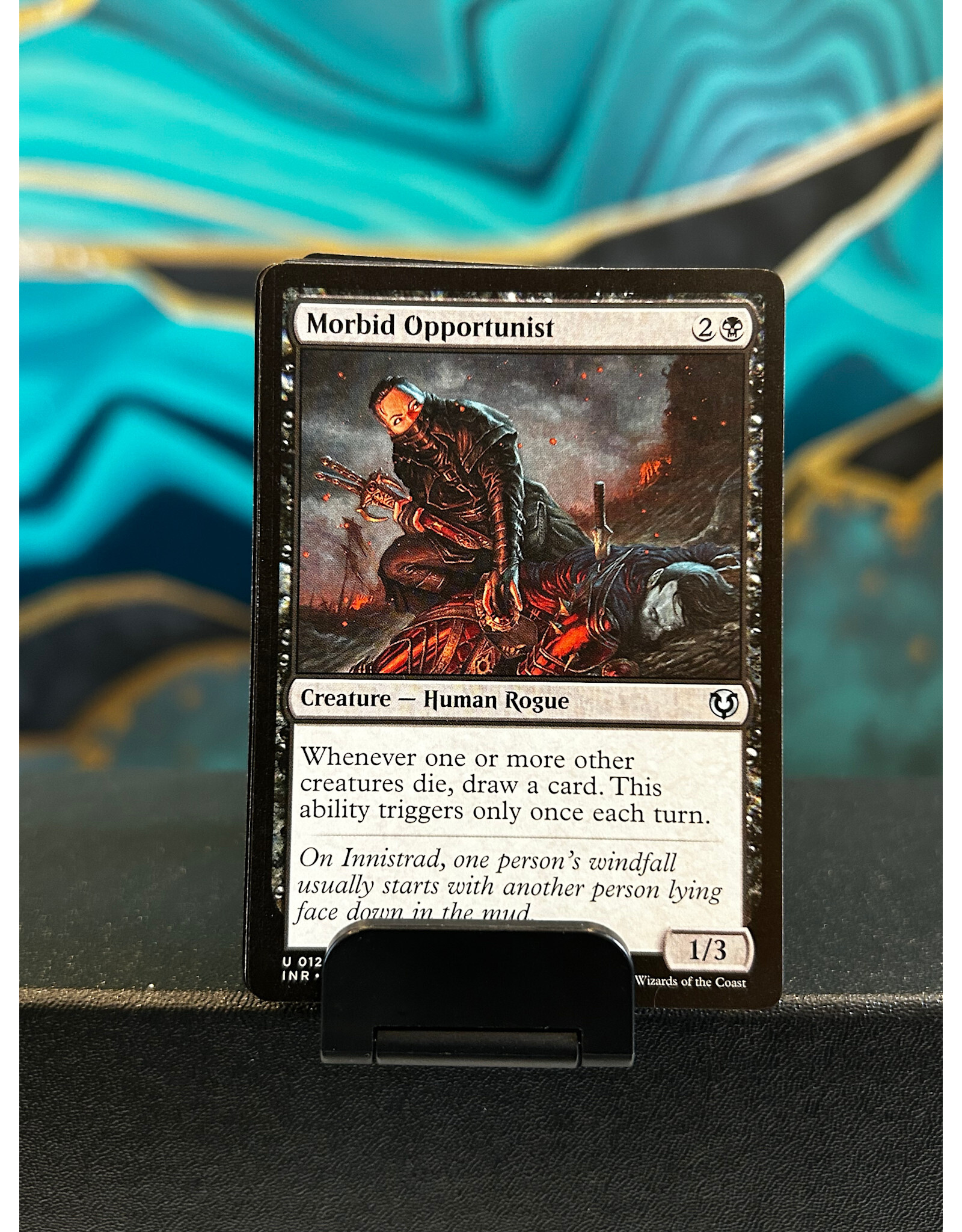 Morbid Opportunist  (INR)
