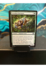 Loxodon Surveyor  (DFT)