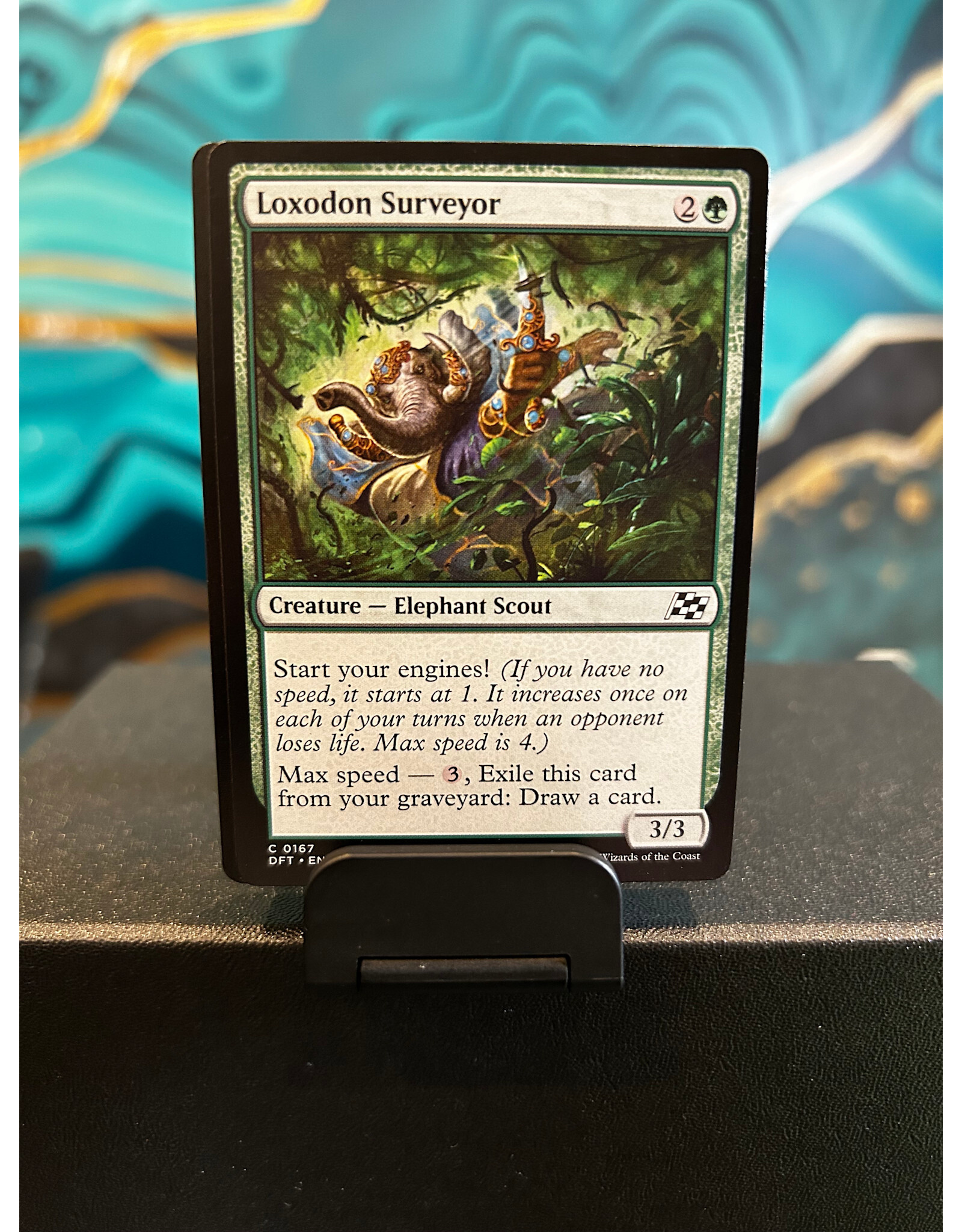 Loxodon Surveyor  (DFT)
