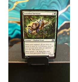 Loxodon Surveyor  (DFT)