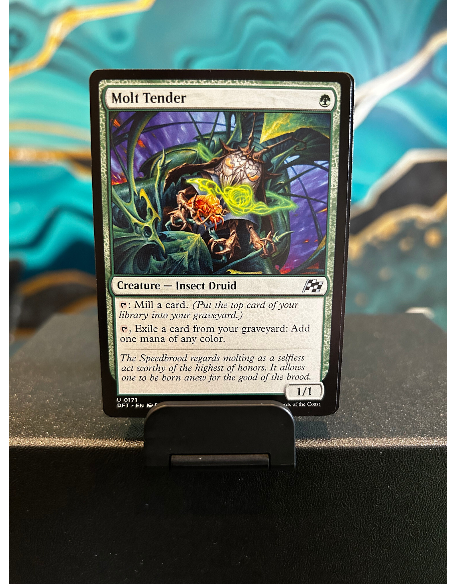 Molt Tender  (DFT)