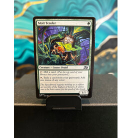 Molt Tender  (DFT)