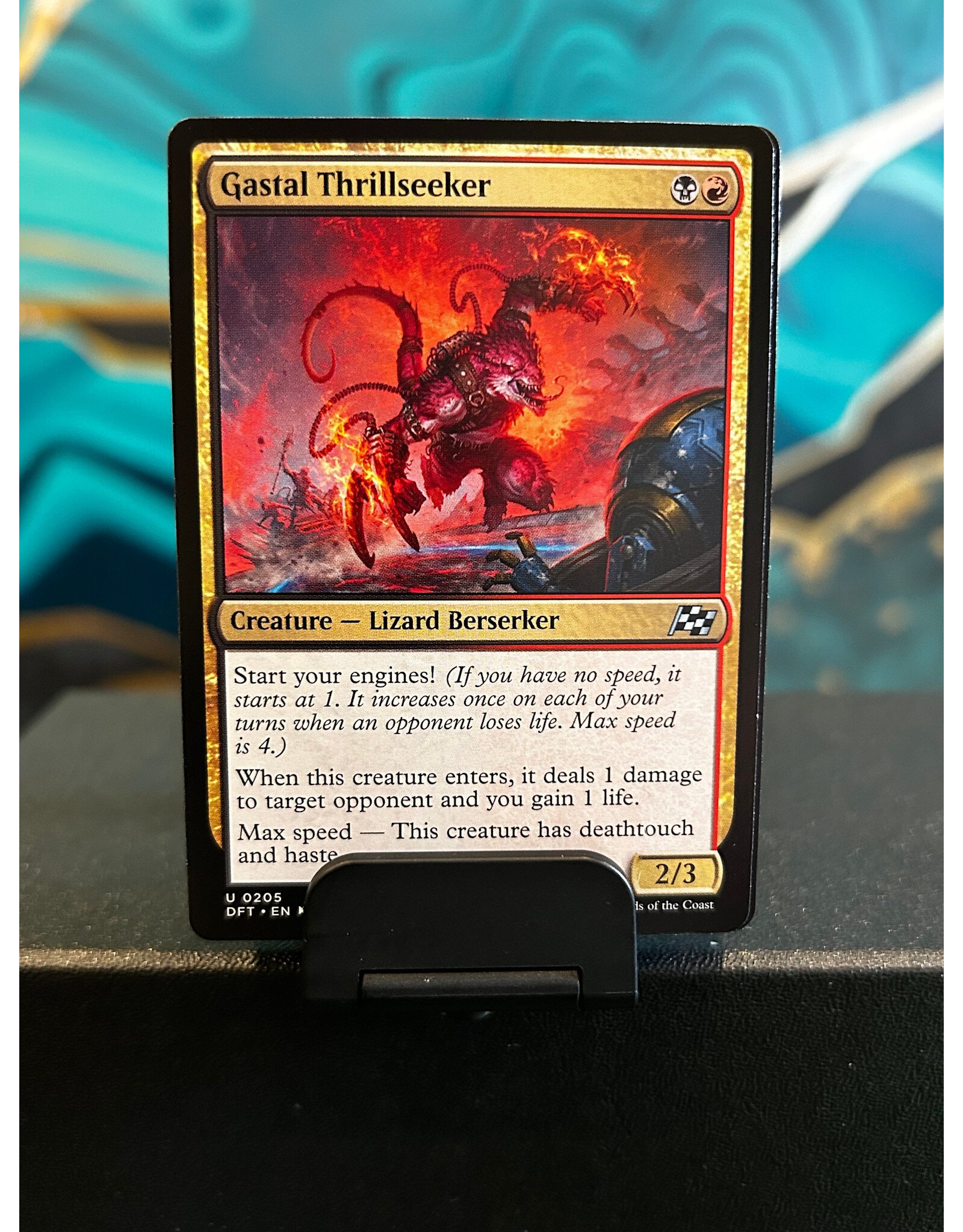 Gastal Thrillseeker  (DFT)