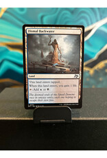 Dismal Backwater  (DFT)
