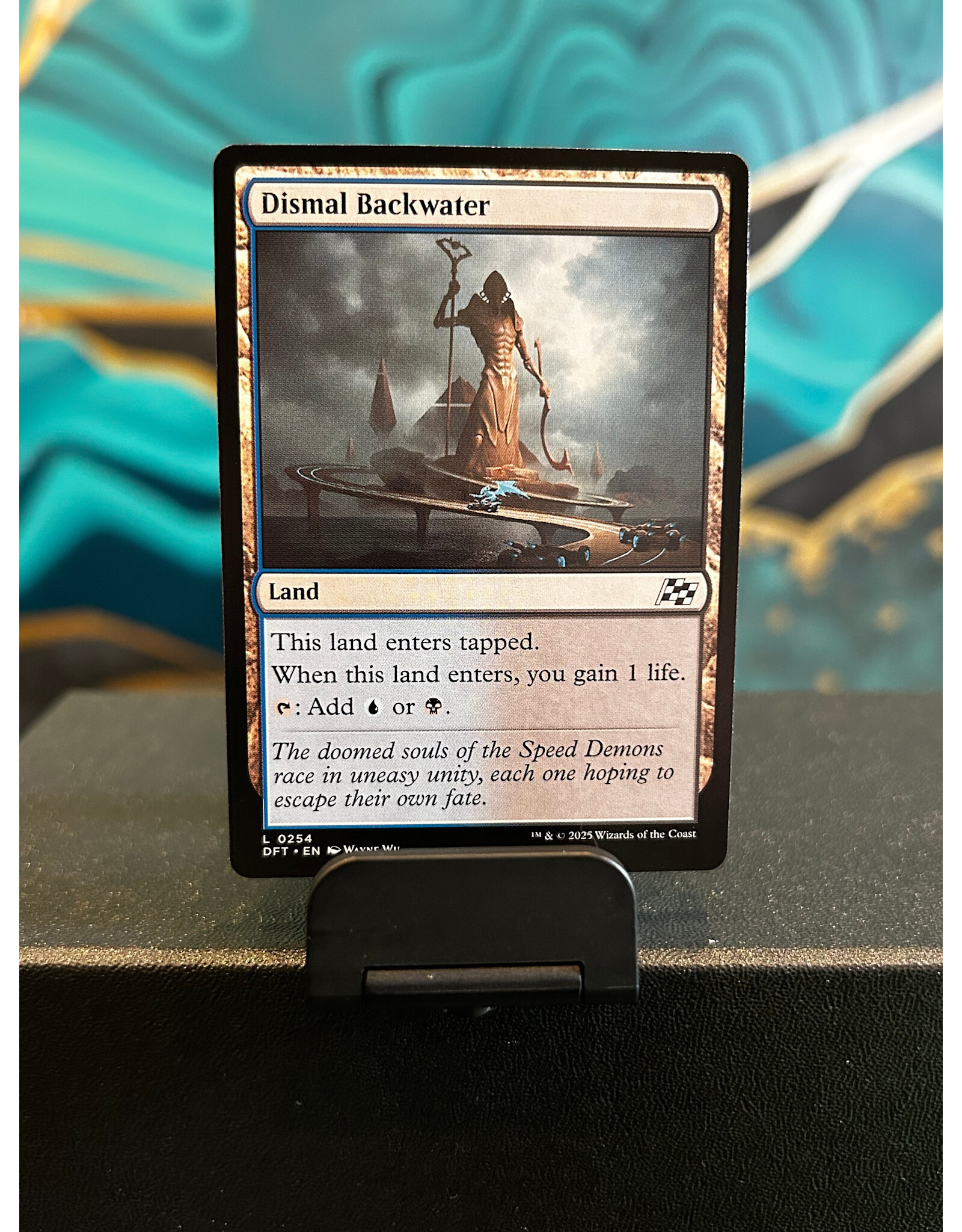 Dismal Backwater  (DFT)