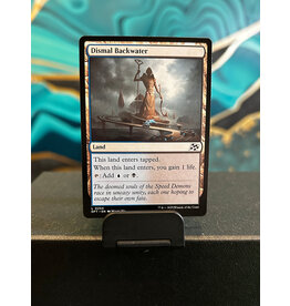 Dismal Backwater  (DFT)