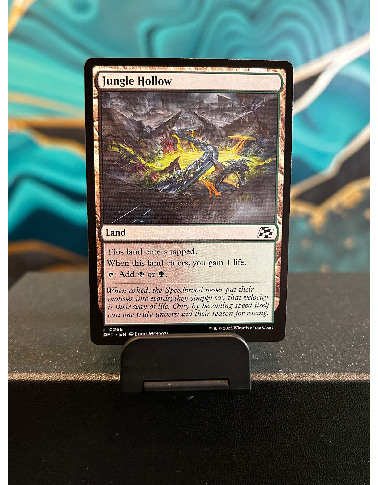 Jungle Hollow  (DFT)