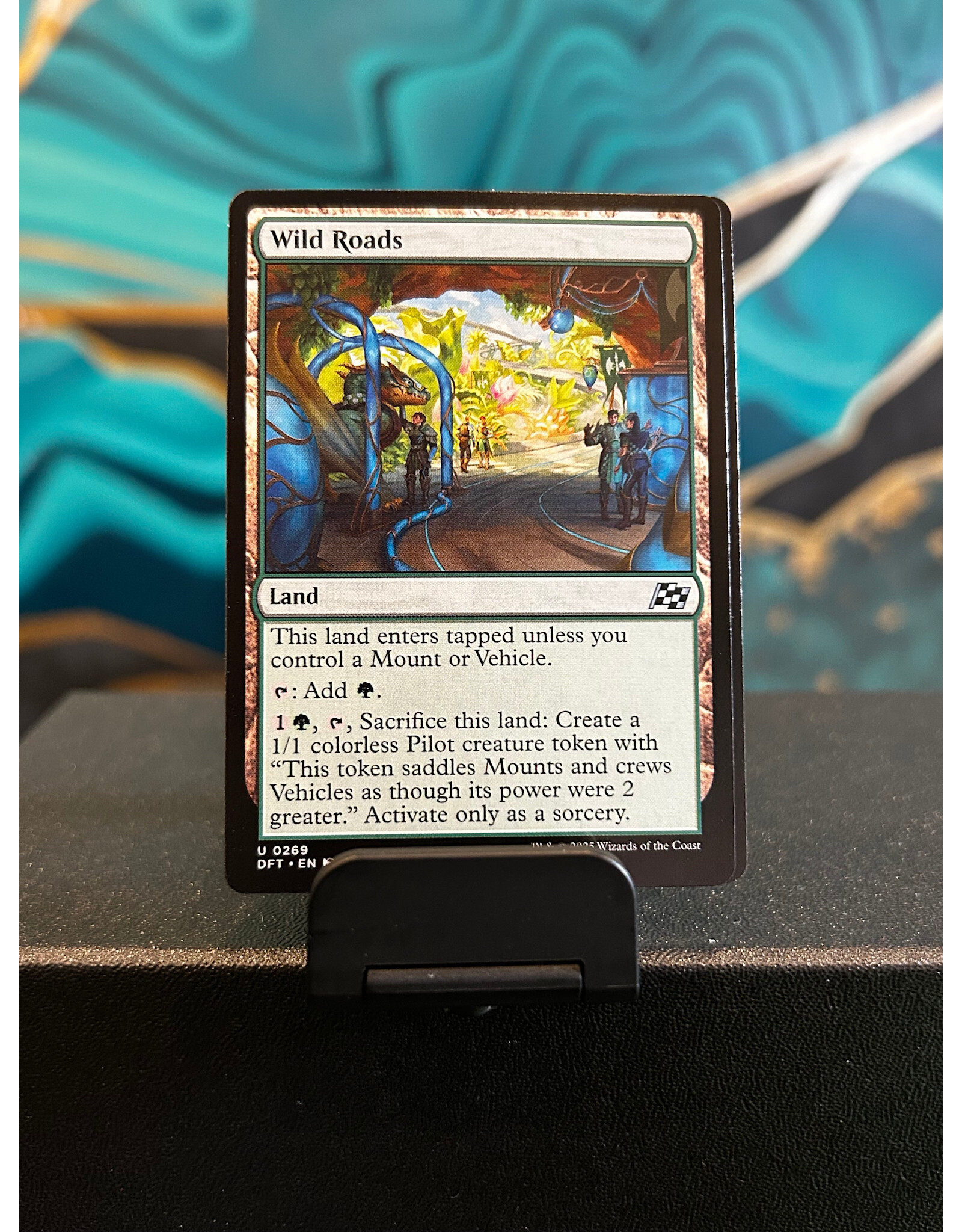 Wild Roads  (DFT)