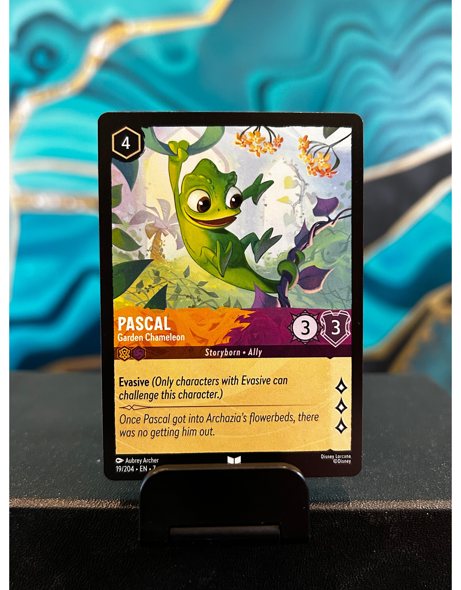Pascal - Garden Chameleon  19 (ARI)