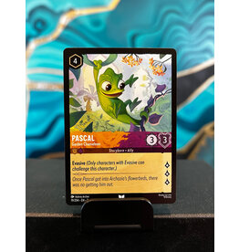 Pascal - Garden Chameleon  19 (ARI)