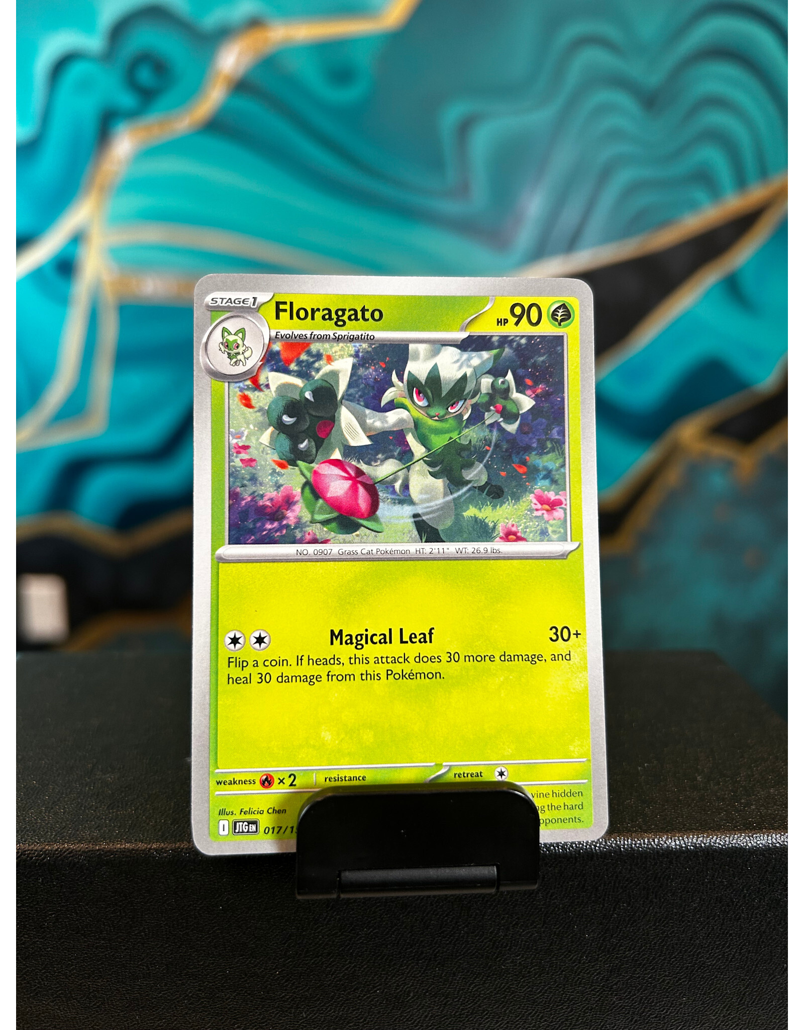 Floragato  017/159