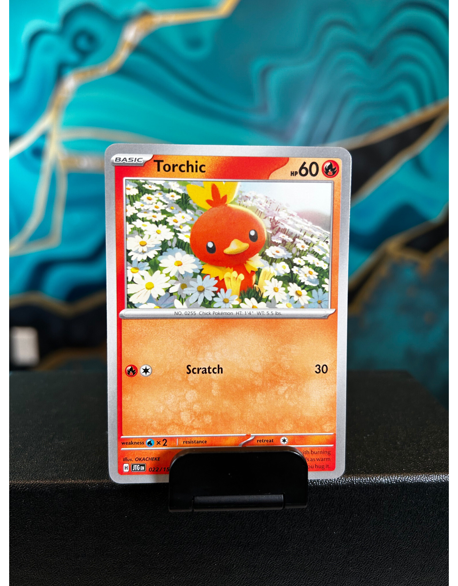 Torchic  022/159