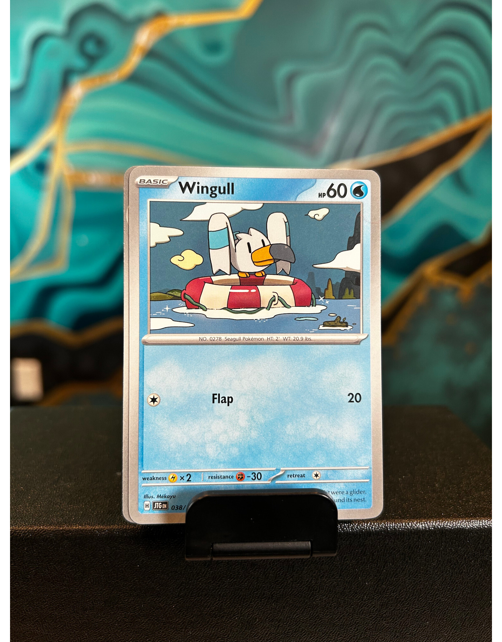 Wingull  038/159