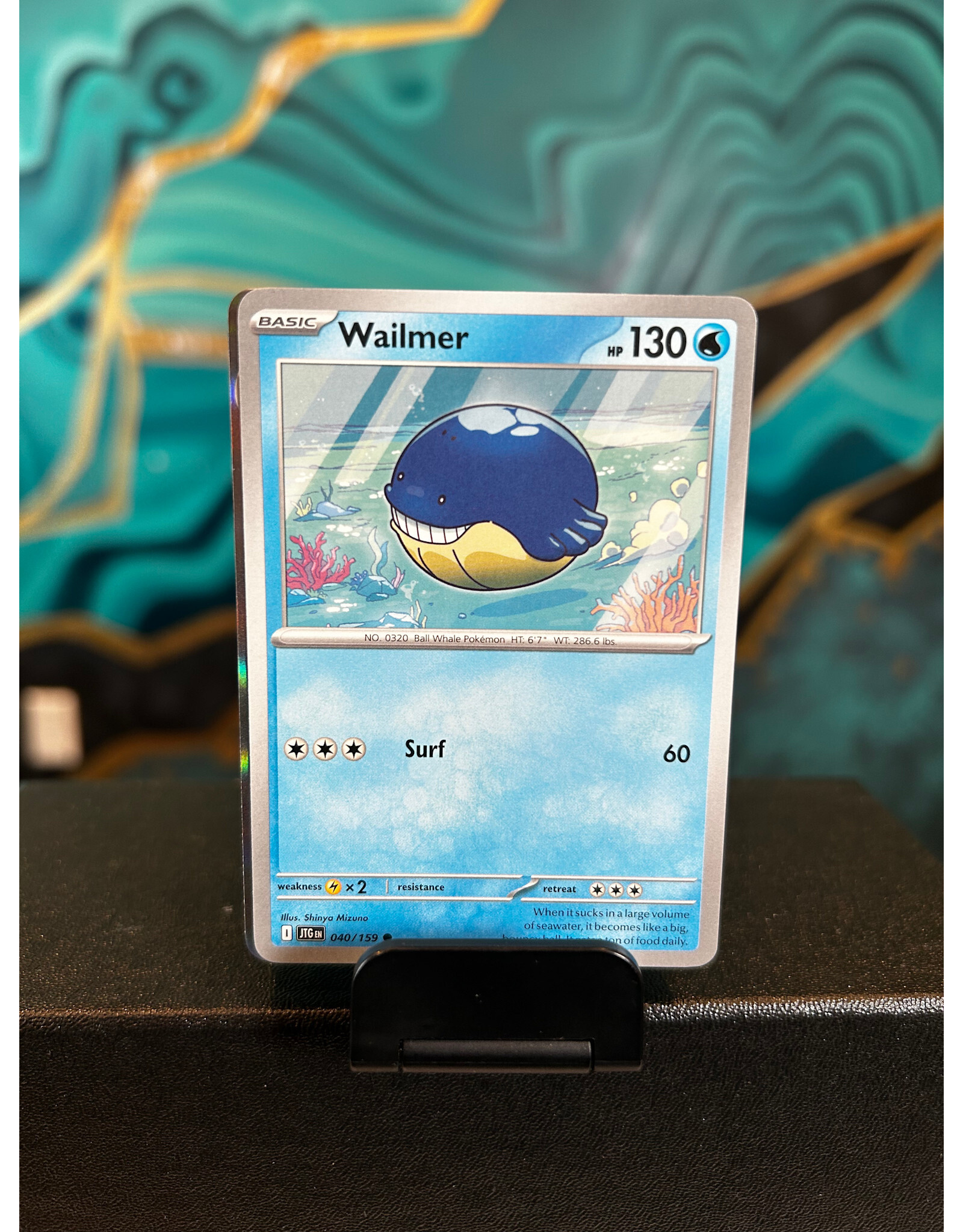 Wailmer  040/159