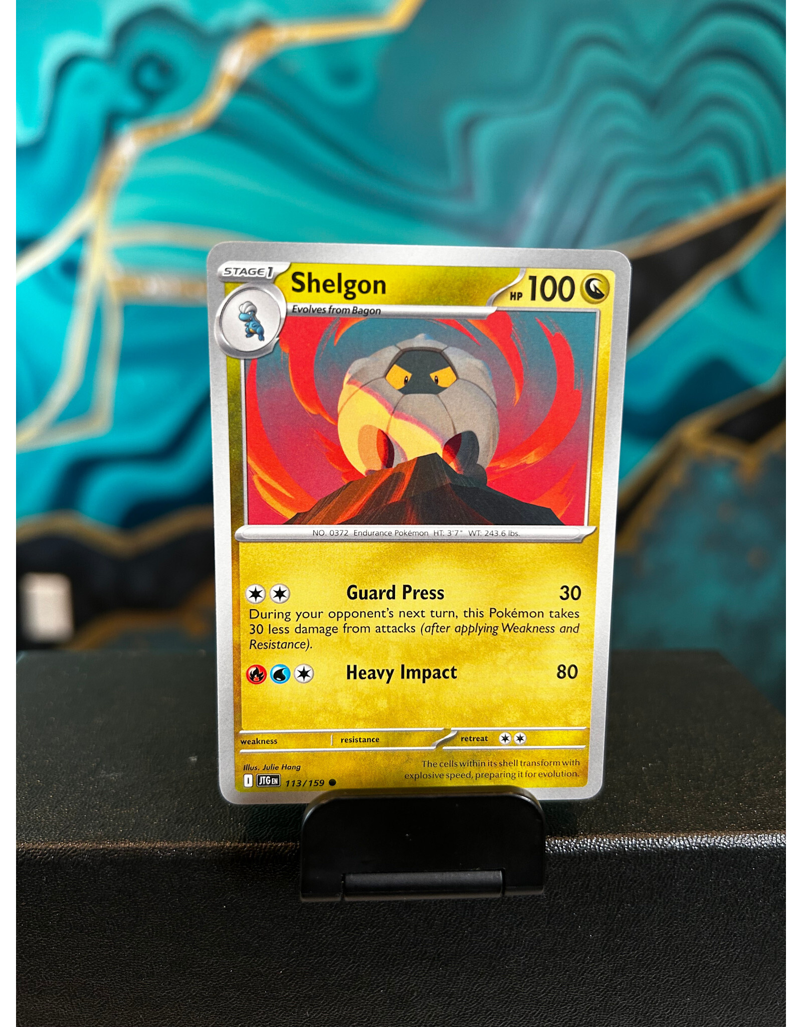 Shelgon  113/159