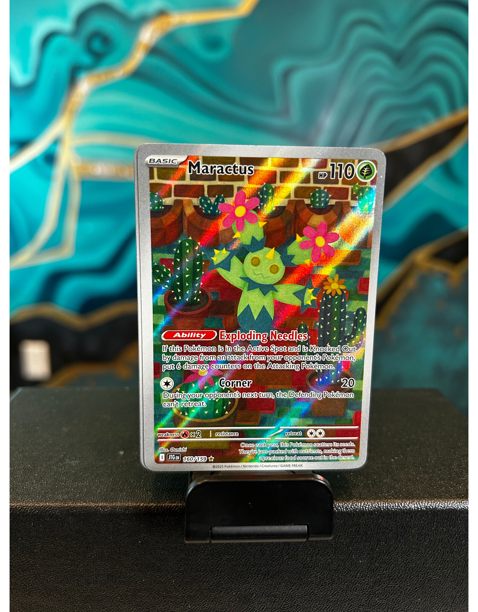 Maractus  160/159
