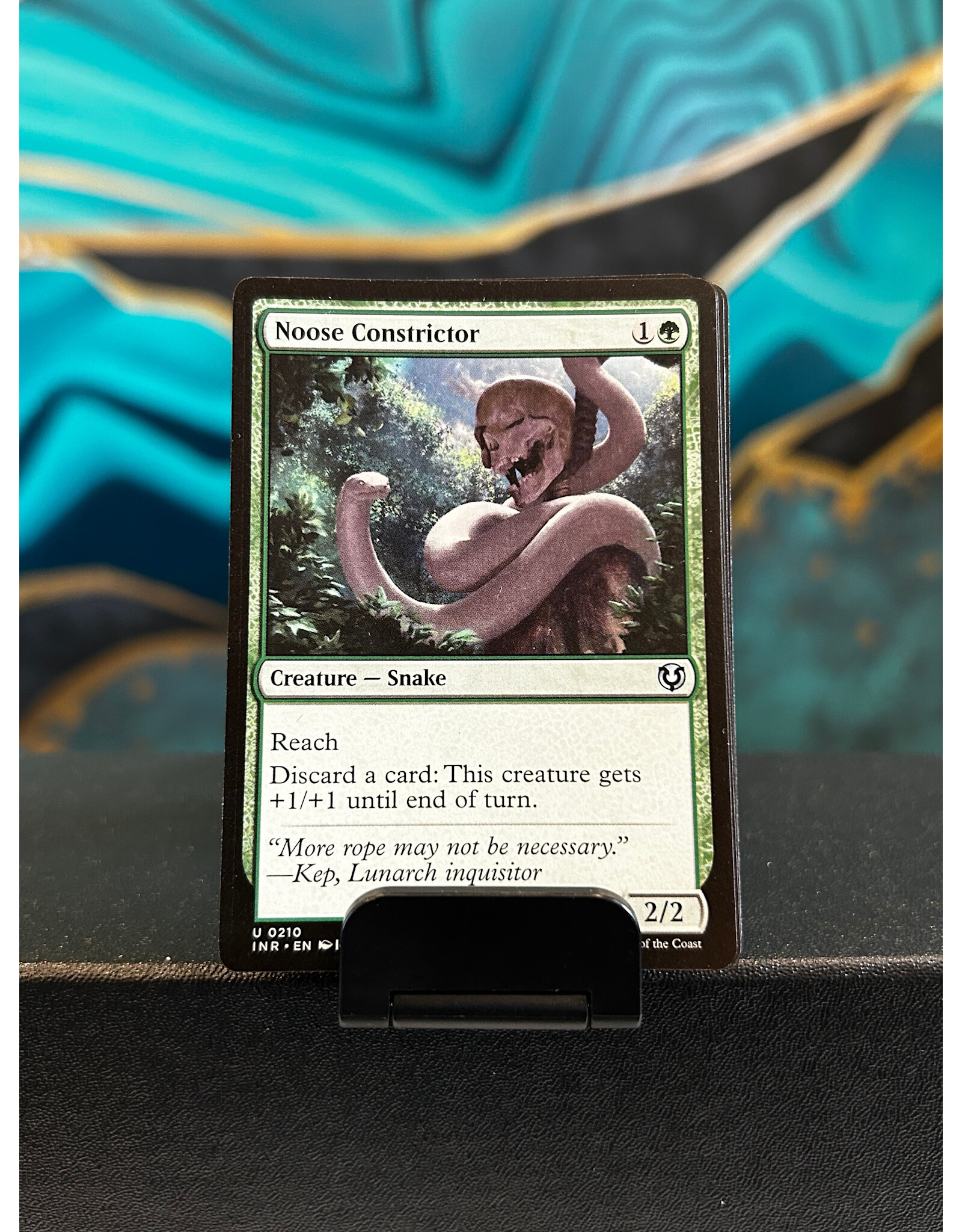 Noose Constrictor  (INR)
