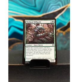 Moldgraf Millipede  (INR)