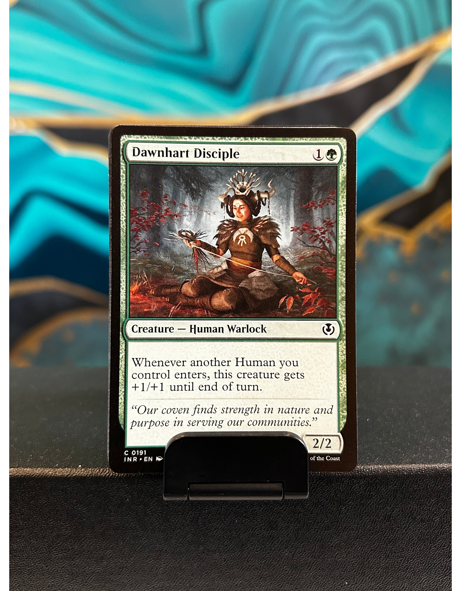Dawnhart Disciple  (INR)
