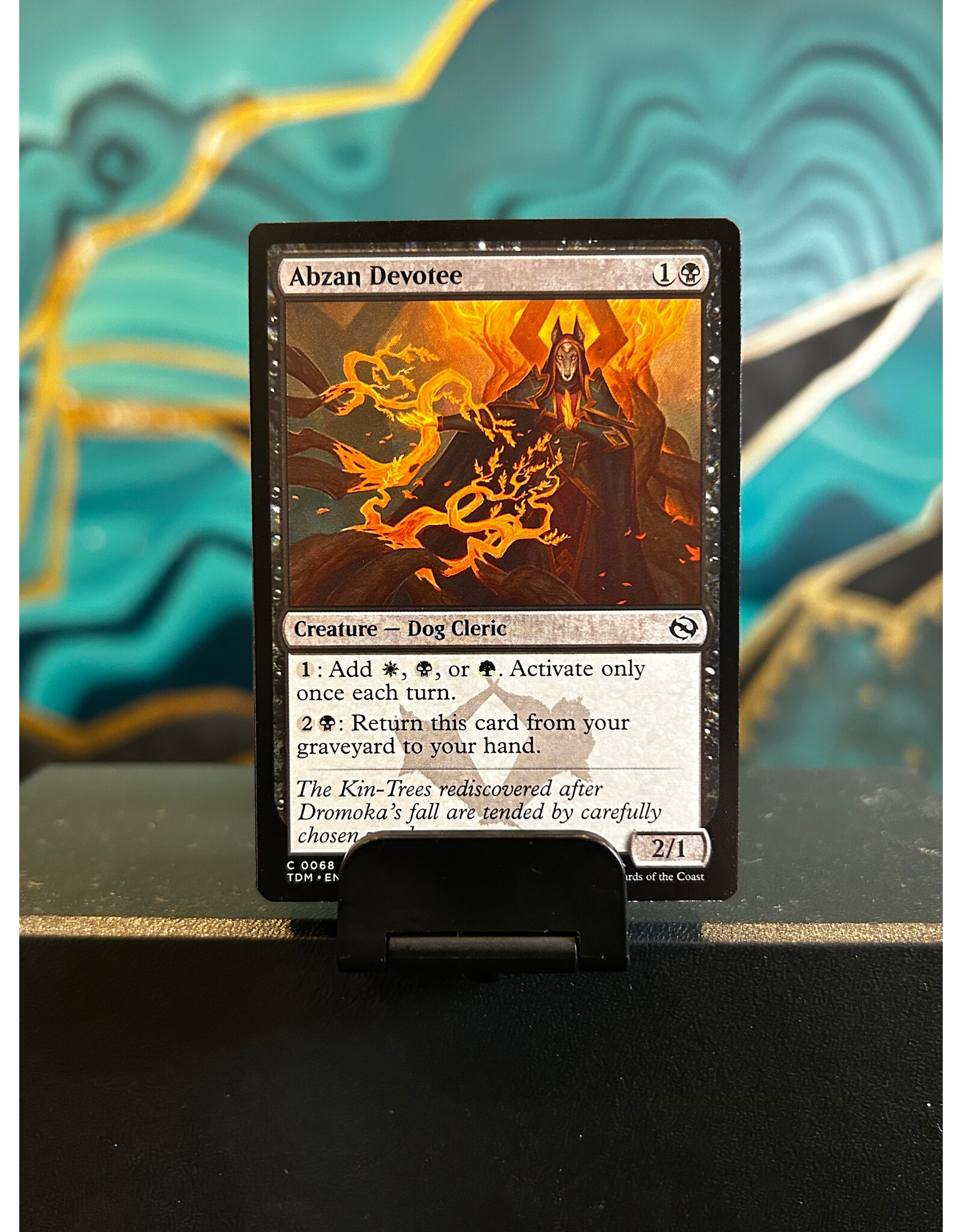 Abzan Devotee  (TDM)